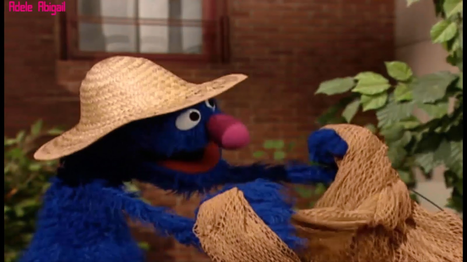 Sesame Street Guide Sesame Street Episode 4095