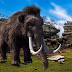 Empresa americana pretende ressuscitar o mamute-lanoso, extinto há 10.000 anos