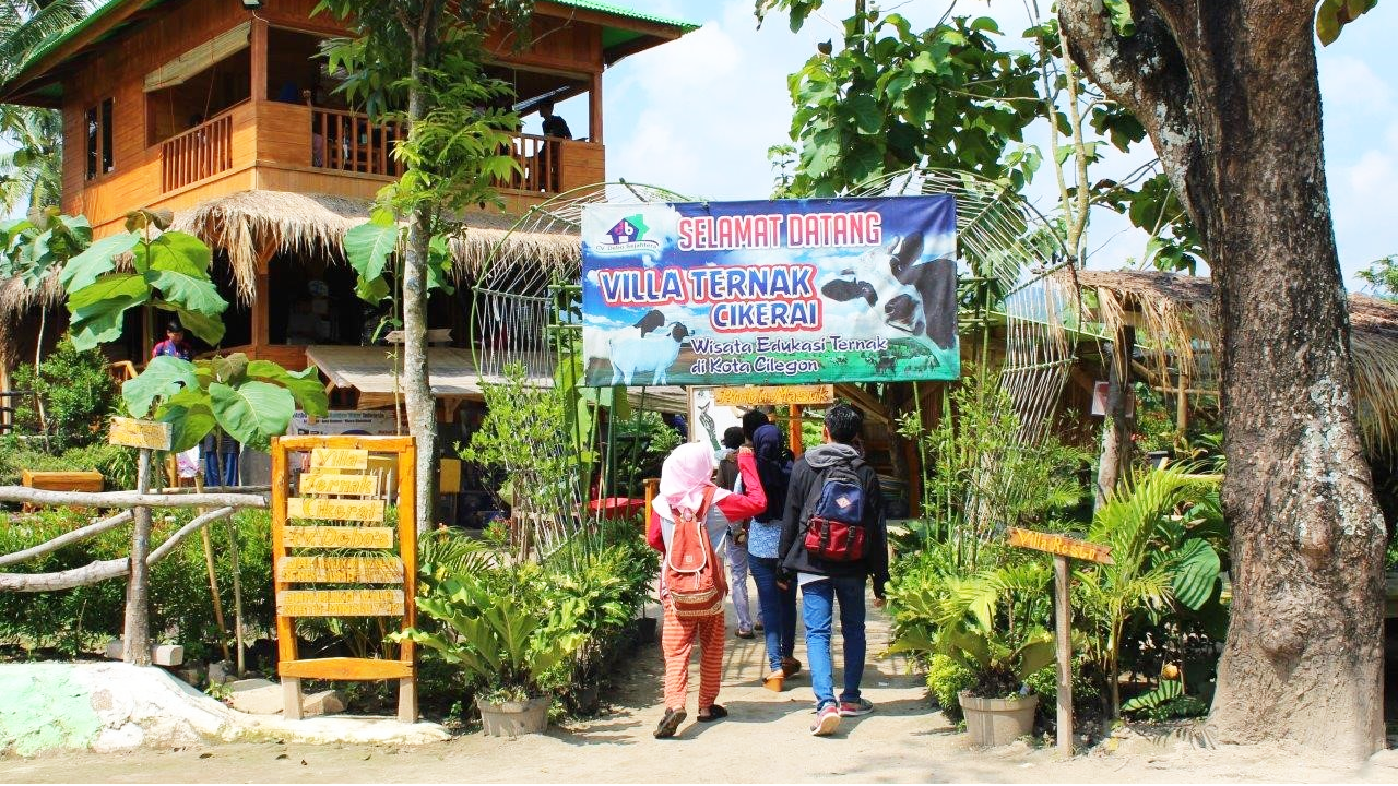 Lowongan Kerja Magang PT Villa Ternak Indonesia (VTI) Cilegon