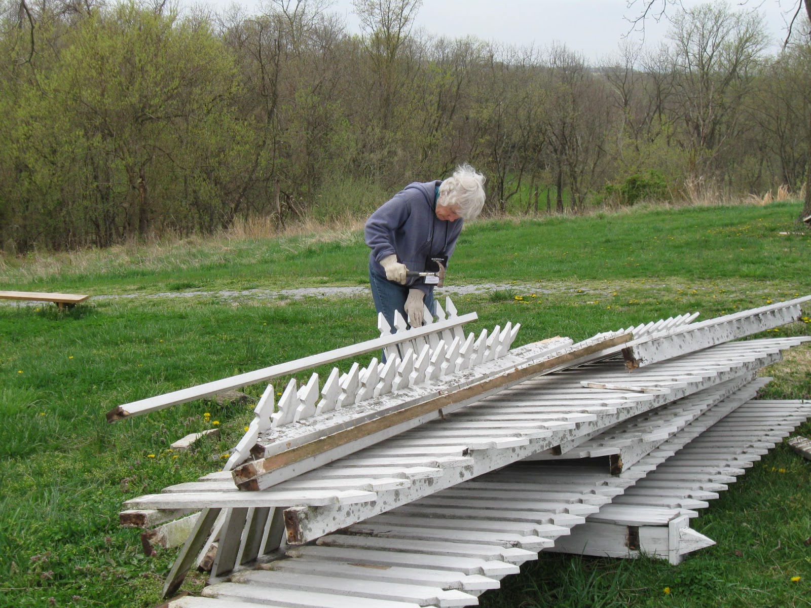 A Garden of Antietam Taking Down the Fence