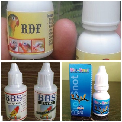 Obat untuk mata berair pada lovebird