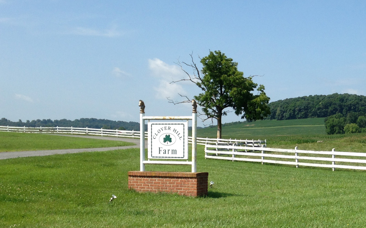 Buttons for Baga 8716 It's Sunday and Time for Tom's Barn Collective