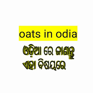 benefit meaning in odia