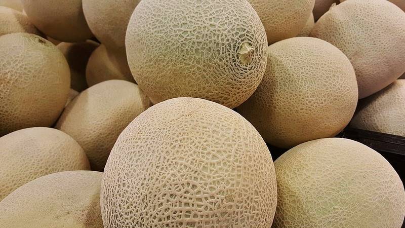 Tanaman Buah Yang Bermanfaat Untuk Kesehatan Akaltani Tanaman Buah Yang Bermanfaat Untuk Kesehatan Akaltani