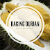 Jual Daging Durian Medan di Polewali Mandar