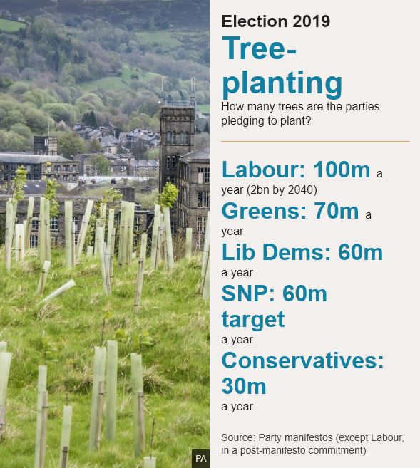 Gary's Soapbox How many trees can you plant?