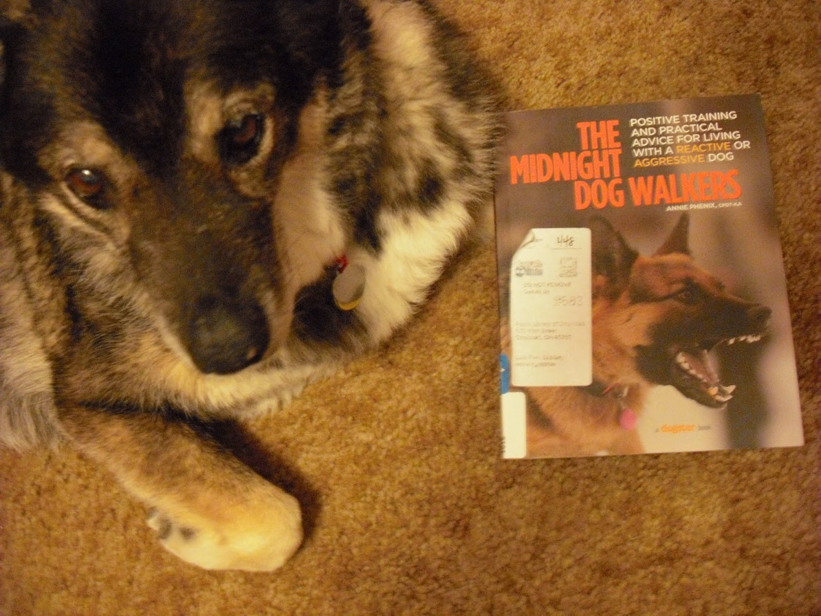 Grab A Book From Our Stack "The Midnight Dog Walkers" by Annie Phenix