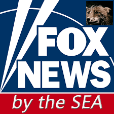 Fox-News-by-the-Sea.gif
