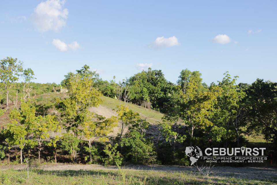 Lots For Sale in Bohol Philippines Lot for Sale Montana Baclayon Bohol