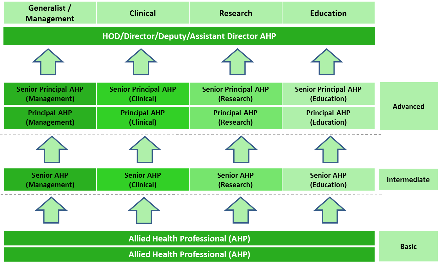Physiotherapy Training Institute in Bhubaneswar by Upasana Education