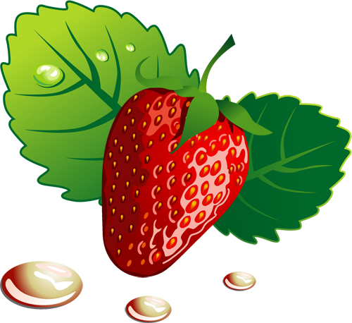 Clipart PNG - Morangos | Imagens para photoshop