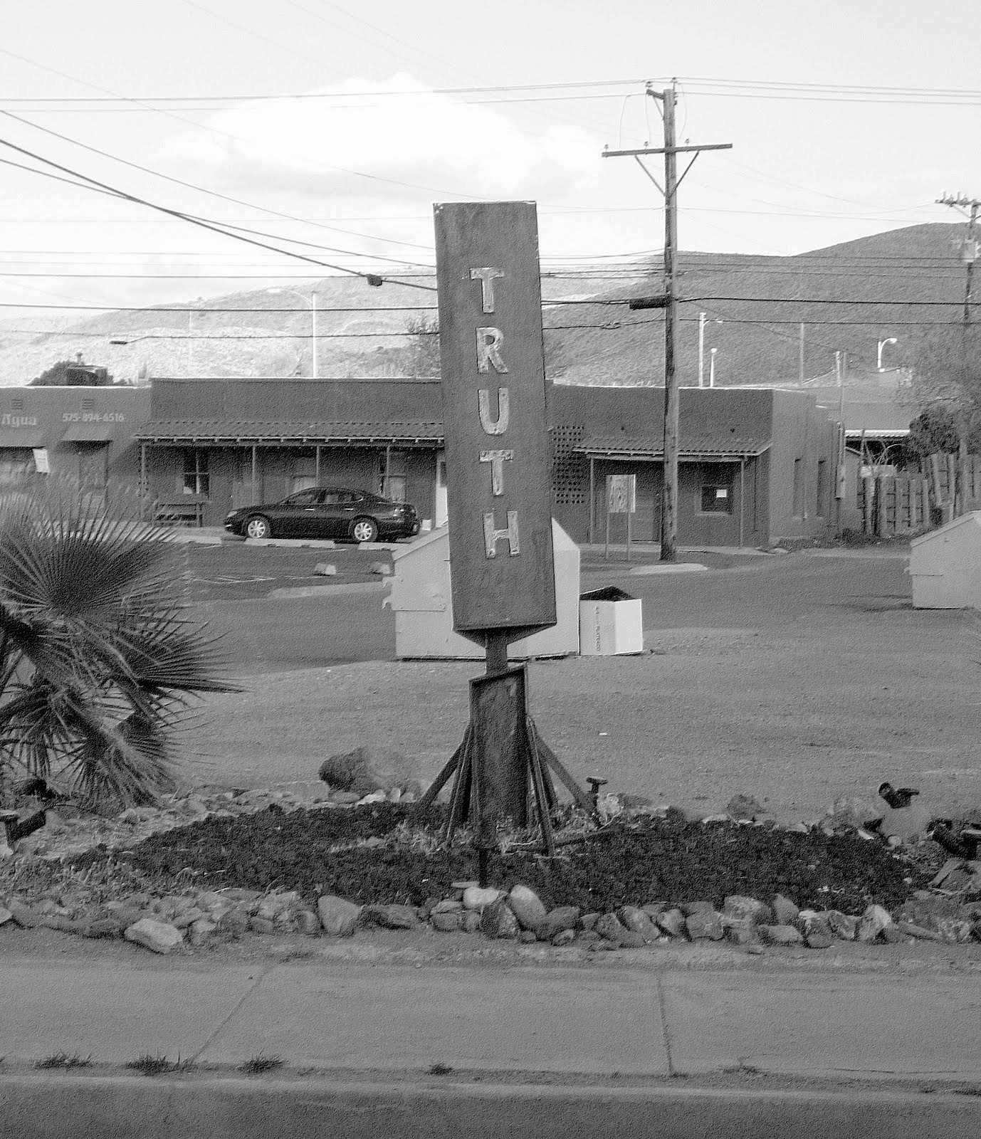 Living Rootless Truth or Consequences True Grit