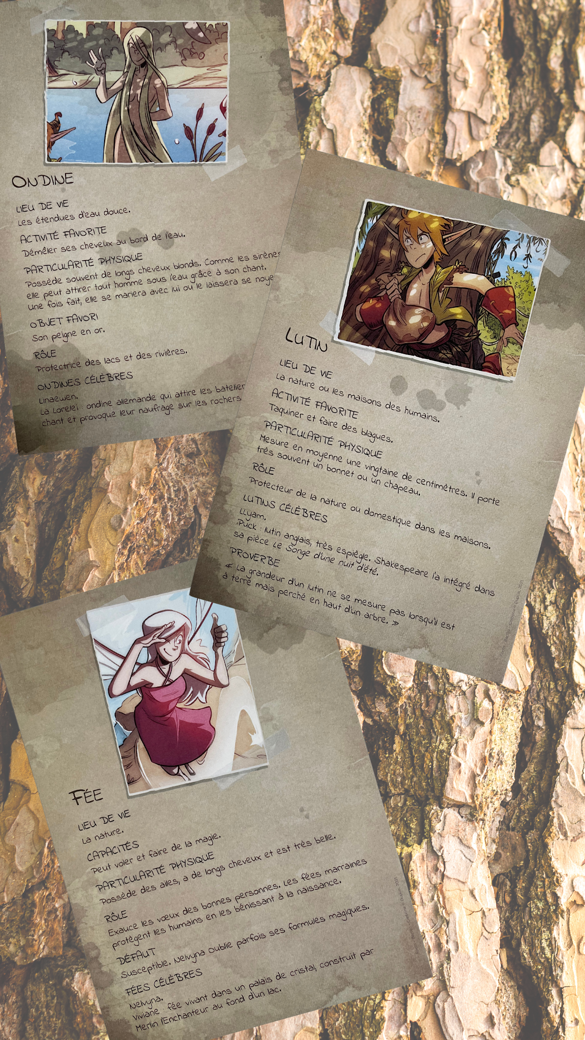 la magie du ruisseau rencontre avec le peuple de l eau