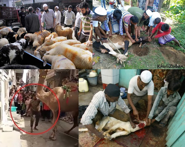 मेजर जनरल,मोदी सरकार,सेना का इस्तेमाल