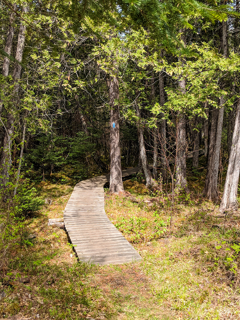 Hiking the North Country Trail Brule Bog