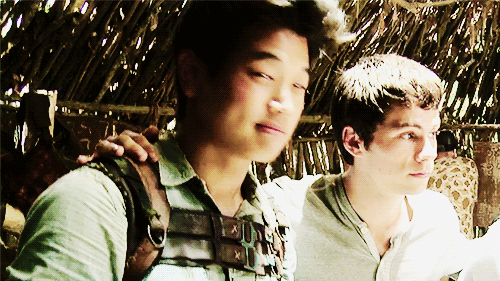 http://1.bp.blogspot.com/-70DF7ESFd-g/VieSE6RhDMI/AAAAAAAAHQw/OZHqDthFyjU/s1600/mazerunner2.gif