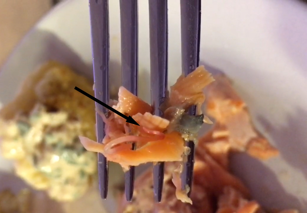 creepy-dreadful-wonderful-parasites-july-2016