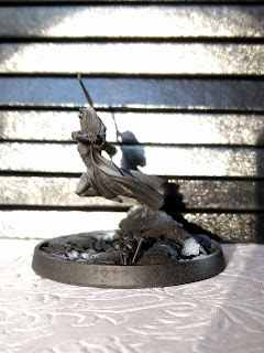 The shadow she cast came out well at zenithal Another post zenithal shot