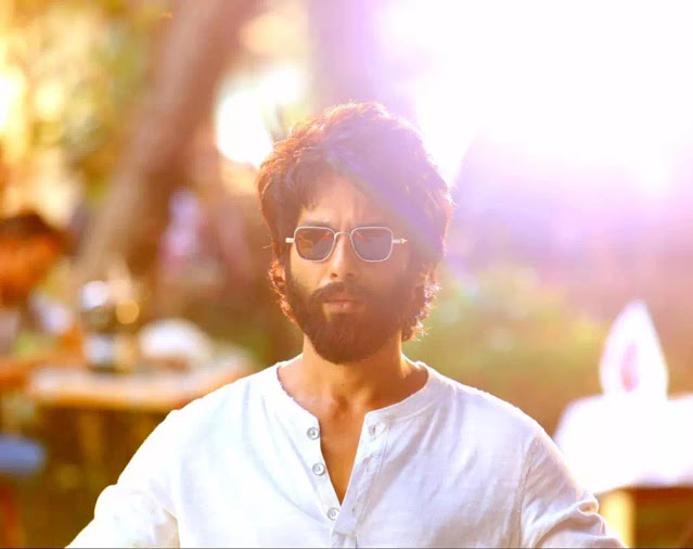 Shahid Kapoor Messy Hairstyle