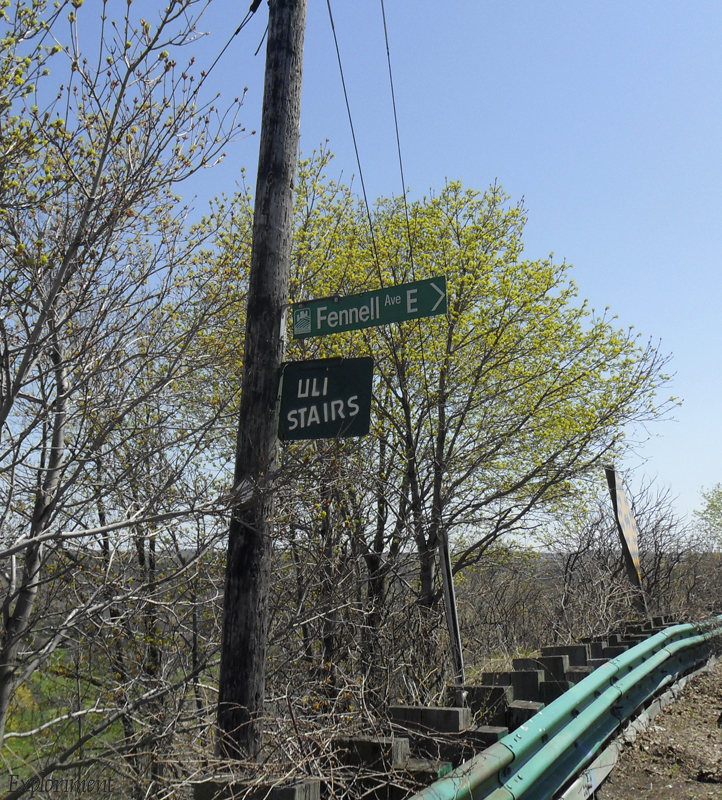 Exploriment Hike towards Red Hill Valley