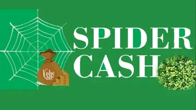 Spider Cash loan app