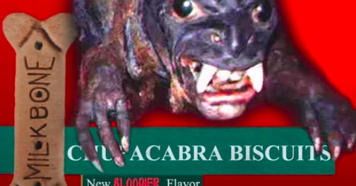 Chupacabra essay example 02 picture