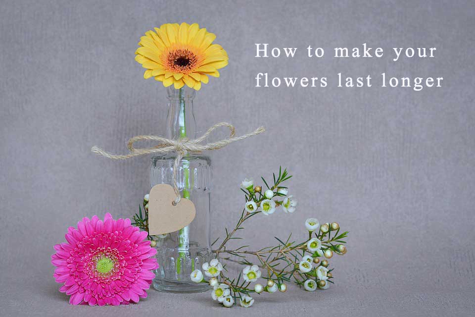 How to make you flowers stay longer. Online flower delivery Lowest