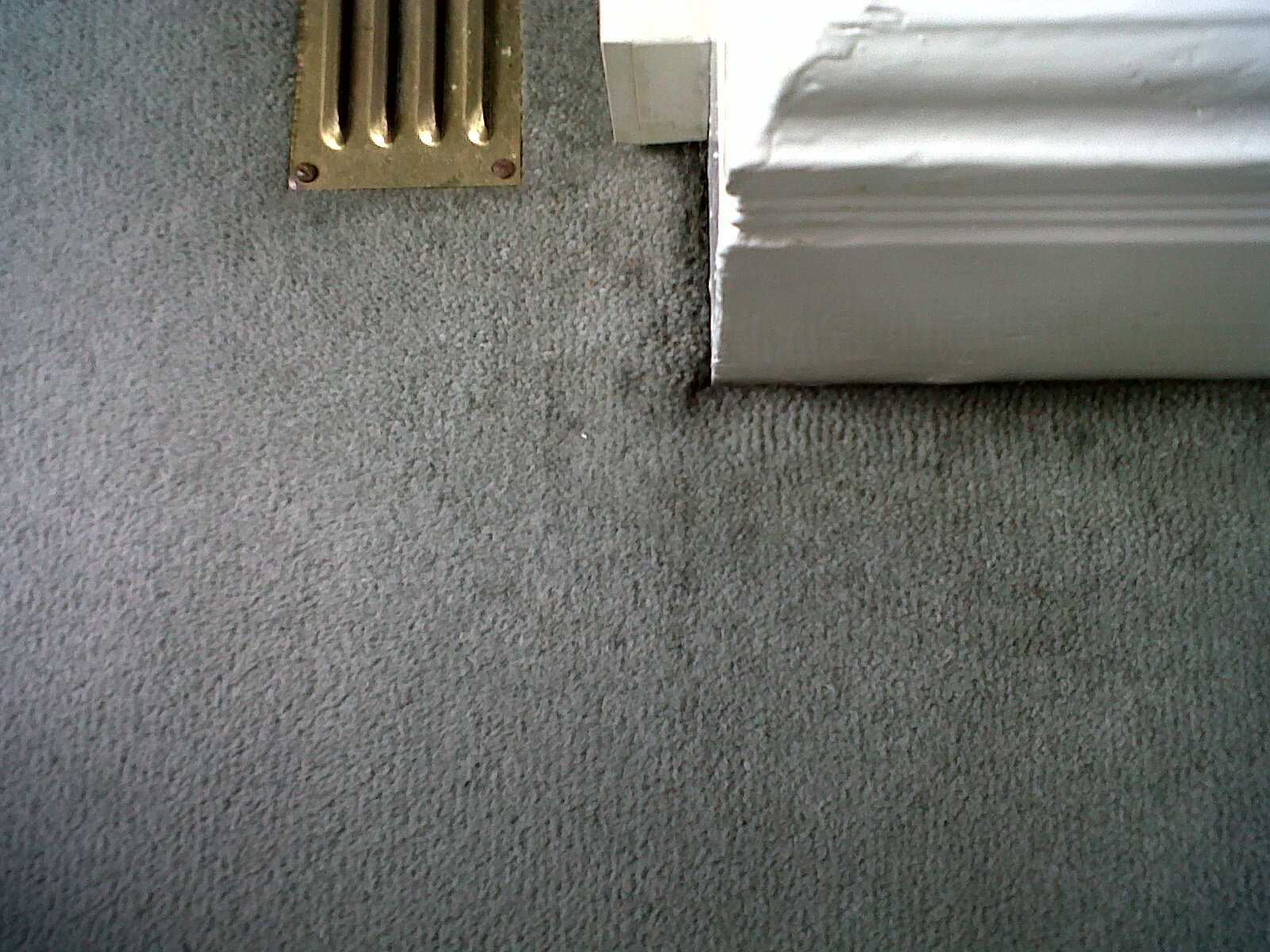 What are those black lines around the edge of my carpet? Art of Clean