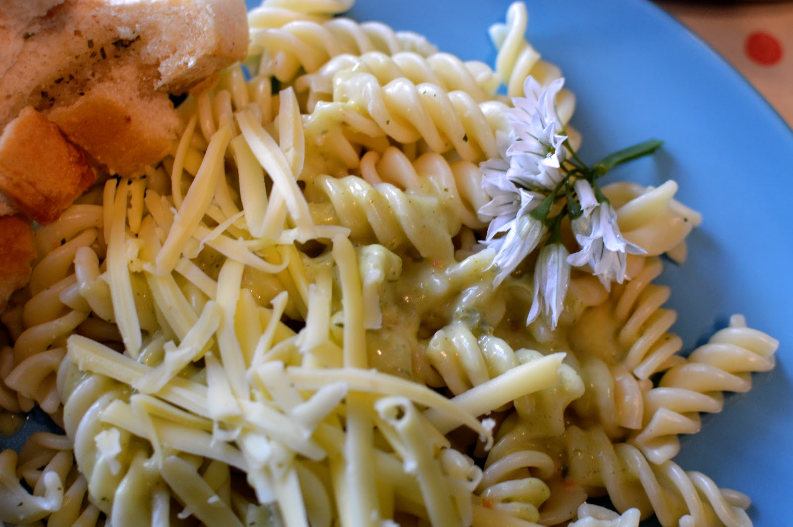 , Quick and Easy Cheesy Three Cornered Wild Garlic Pasta