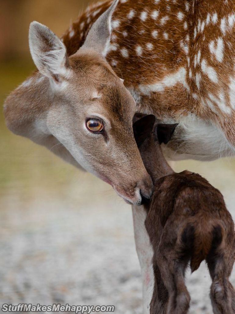 9. It's not scary with mom 9. It's not scary with mom