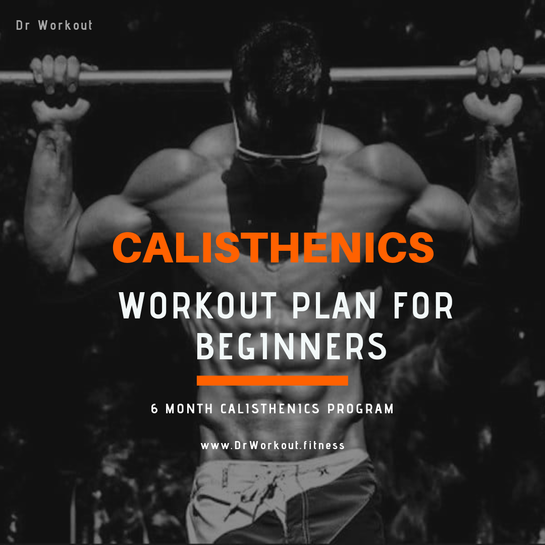 Simple Beginner Calisthenics Workout Reddit for Push Pull Legs