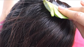 Aloe Vera Gel and Amla helps for fast hair growth make your hair strong