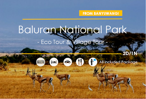 Baluran National Park - Eco Tour