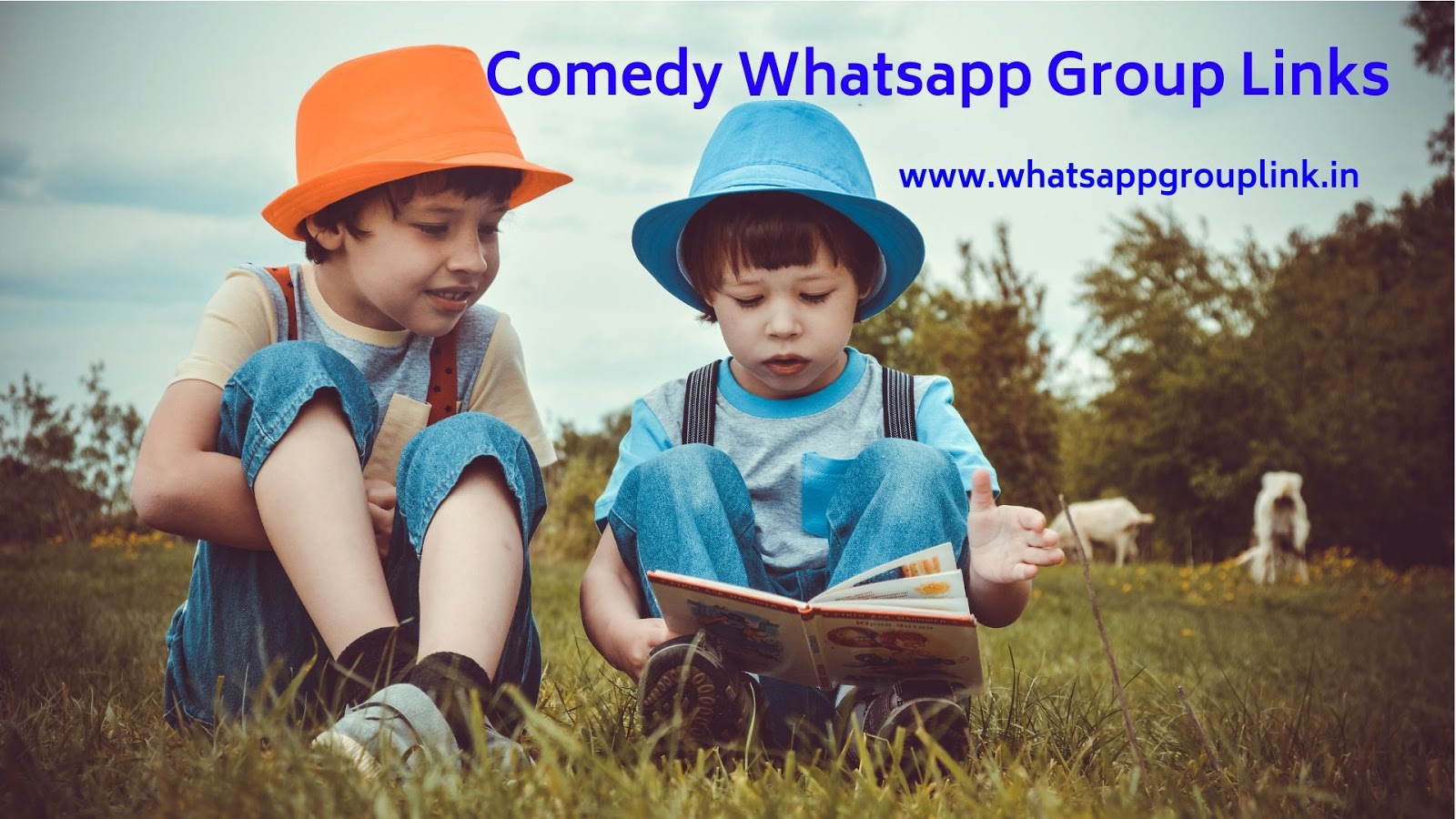 Comedy Whatsapp Group Links - WhatsappGroupLink