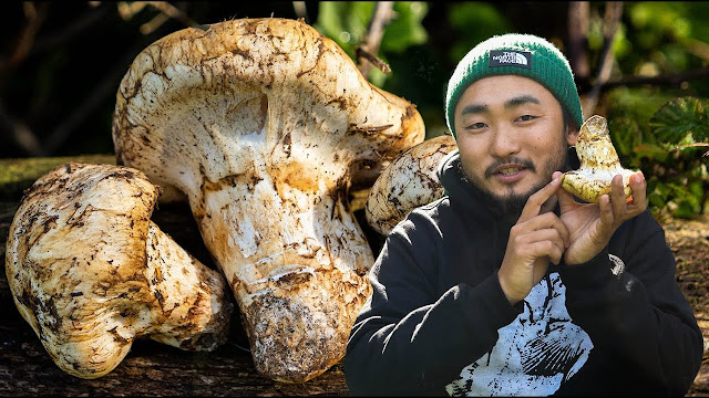 Matsutake Mushrooms