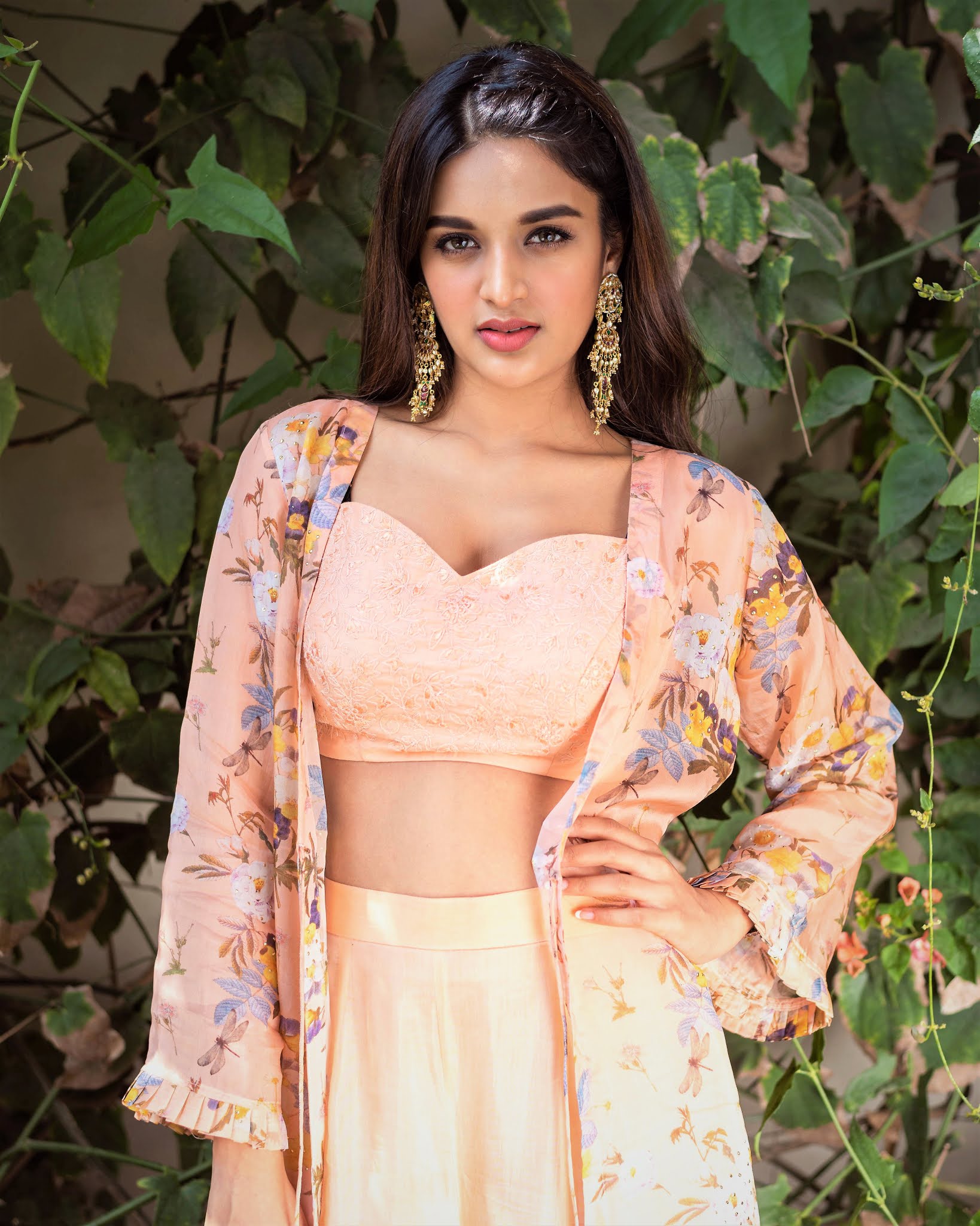 Nidhhi Agerwal HD UHD Photo