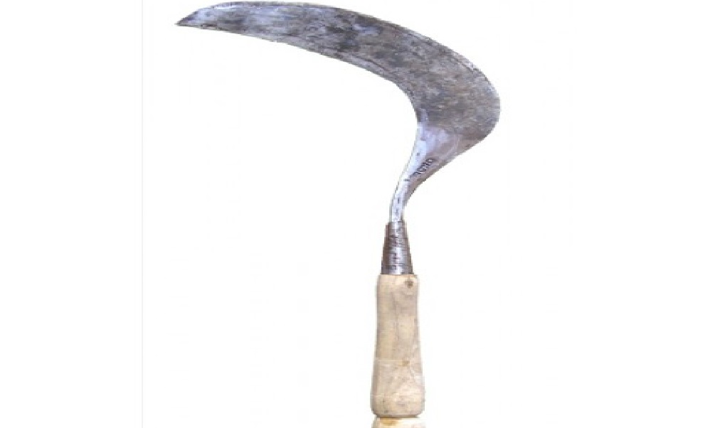 Mimpi Arit Menurut Primbon Erek Mimpi