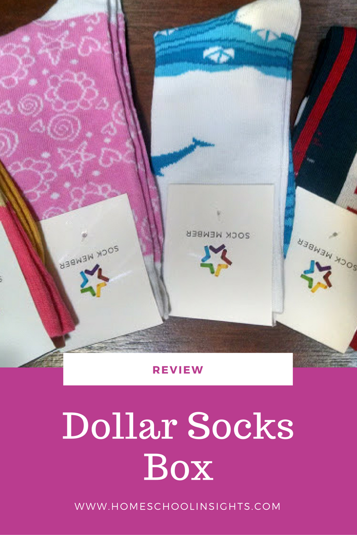 Dollar Socks Box Review The Frugal Grandmom