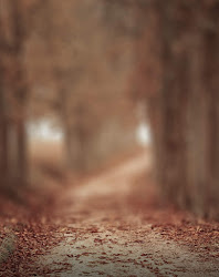 easy blur background photoshop 9