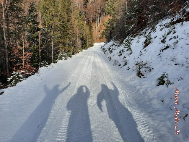 Walk in the woods - Winterspaziergang