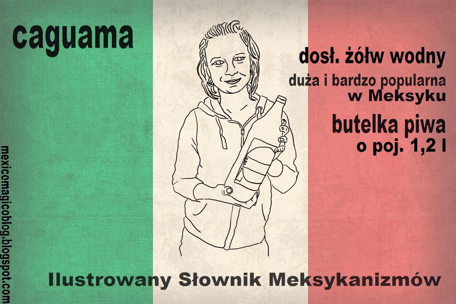 Meksykański hiszpański. W jakim języku mówi się w Meksyku? Meksykański hiszpański. W jakim języku mówi się w Meksyku?