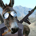  The AK 47 costs 130 dollar at a donkey fair in Pakistan.