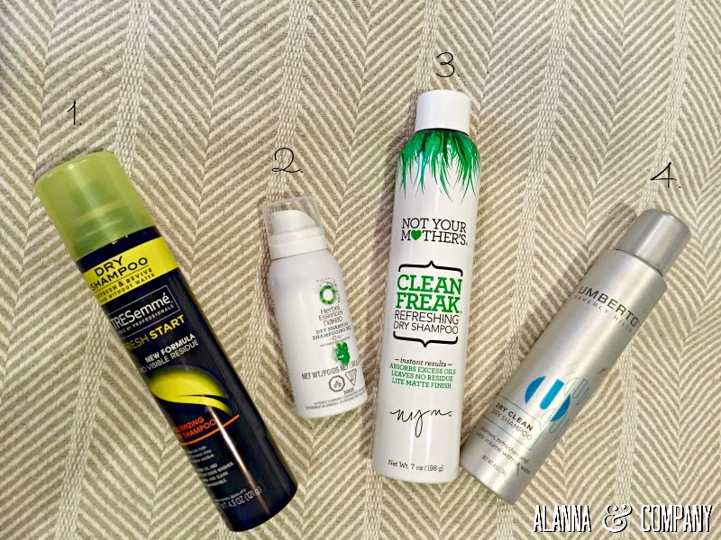 Alanna & Company D.C. Lifestyle Blog Hair Challenges Dry Shampoo