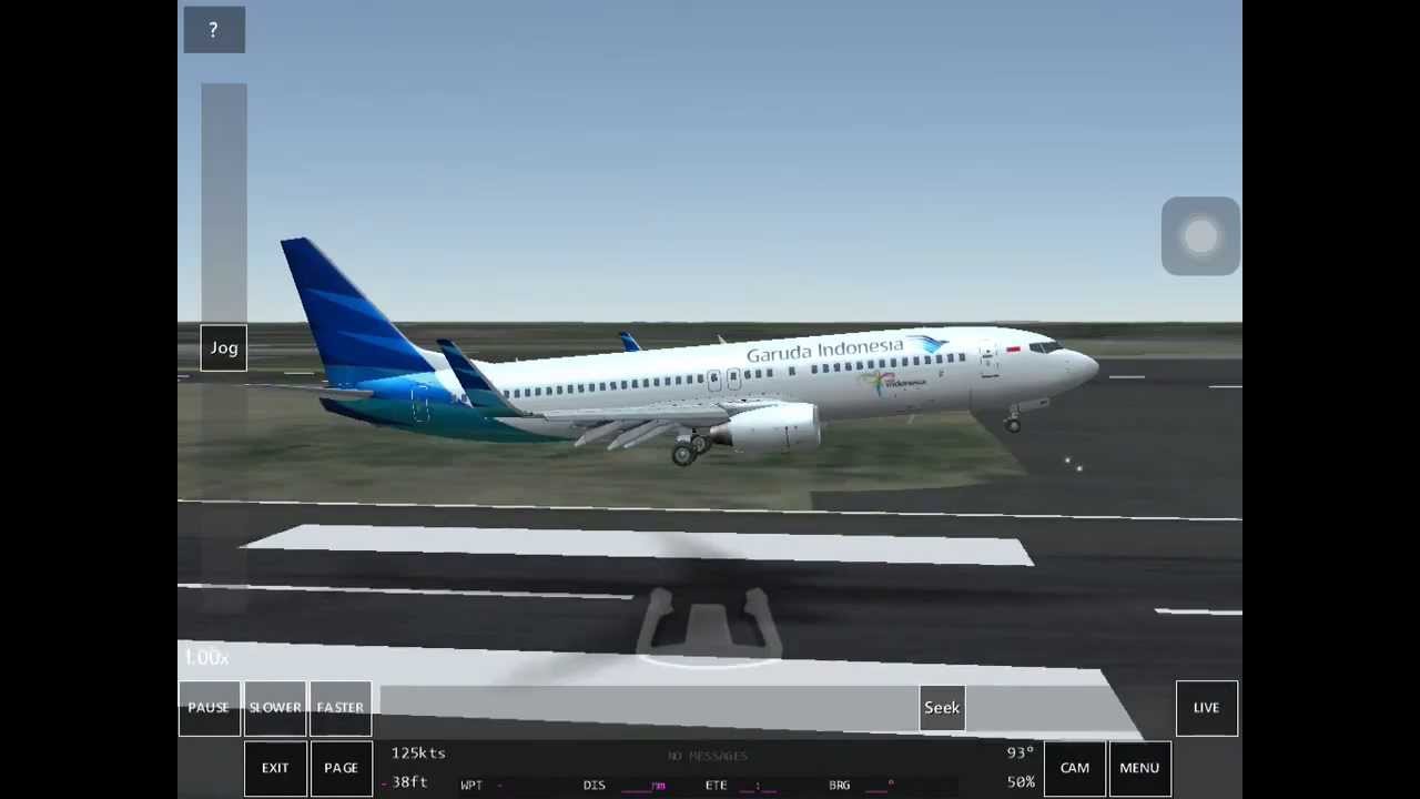 Infinite flight мод все открыто