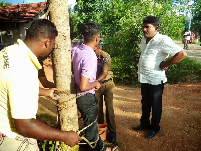 Dambulla.jpg