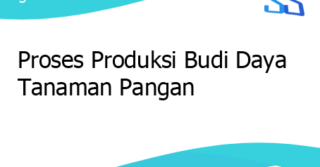 Proses Produksi Budi Daya Tanaman Pangan