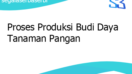 Proses Produksi Budi Daya Tanaman Pangan Proses Produksi Budi Daya Tanaman Pangan