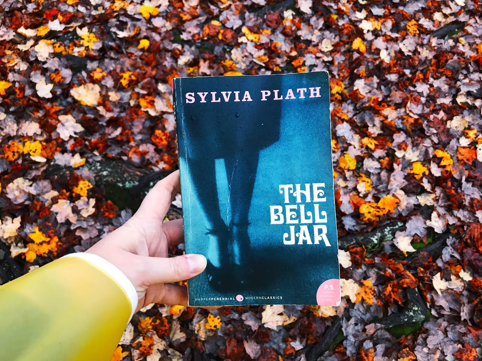 Review: 'The Bell Jar,' by Sylvia Plath - The New York Times