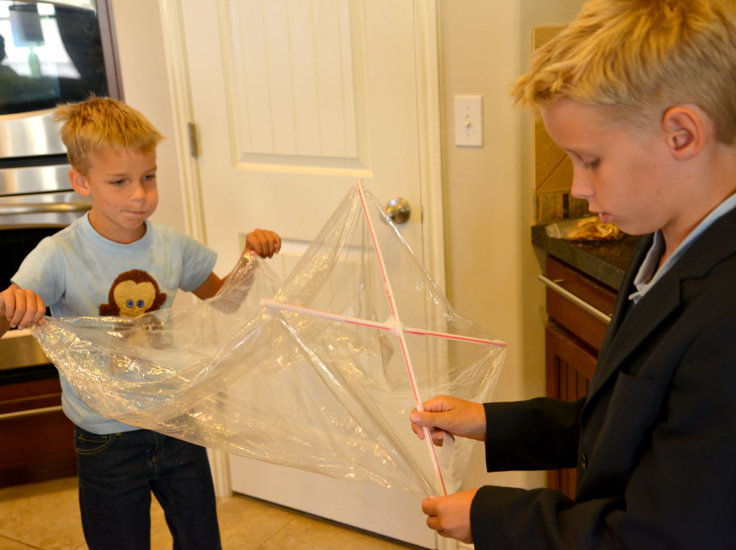 A school of fish Plastic Bag Hot Air Balloon