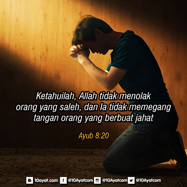 Ayub%2B8 20